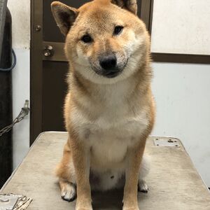 IMG_6416 （編集済み）